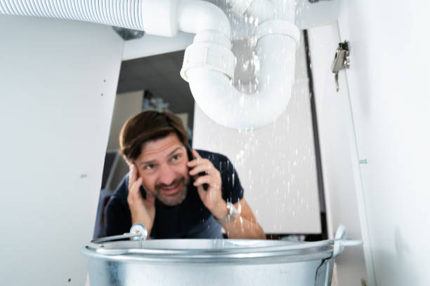 Best Commercial Plumbing Services  in Lake City, AR